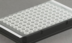 Produktfoto: 100 Blatt optisch klare Real-time-PCR-Klebefolie, 140 x 77 mm